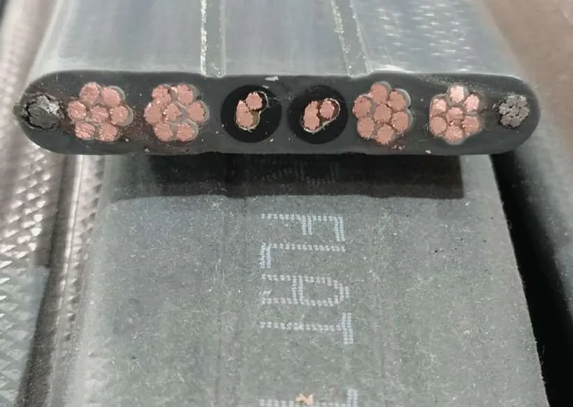 Cut end of a YBS 32 core flat travelling cable showing conductors and shielded pairs